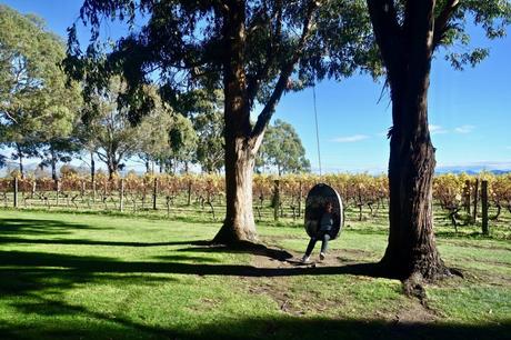 Il vino di Marlborough in Nuova Zelanda: wine tour con Sounds Connection Il vino di Marlborough in Nuova Zelanda: wine tour con Sounds Connection