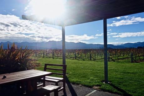 Il vino di Marlborough in Nuova Zelanda: wine tour con Sounds Connection Il vino di Marlborough in Nuova Zelanda: wine tour con Sounds Connection