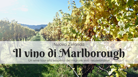 Il vino di Marlborough in Nuova Zelanda: wine tour con Sounds Connection Il vino di Marlborough in Nuova Zelanda: wine tour con Sounds Connection