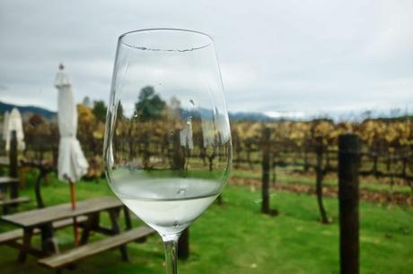 Il vino di Marlborough in Nuova Zelanda: wine tour con Sounds Connection Il vino di Marlborough in Nuova Zelanda: wine tour con Sounds Connection