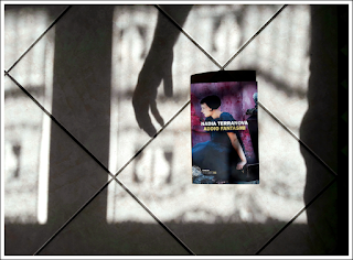 Recensione: Addio fantasmi, di Nadia Terranova Recensione: Addio fantasmi, di Nadia Terranova