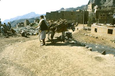 Ritorno a Sana'a Ritorno a Sana'a