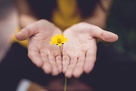 Elogio alla Lentezza: Ritrovare il ritmo con la meditazione Elogio alla Lentezza: Ritrovare il ritmo con la meditazione