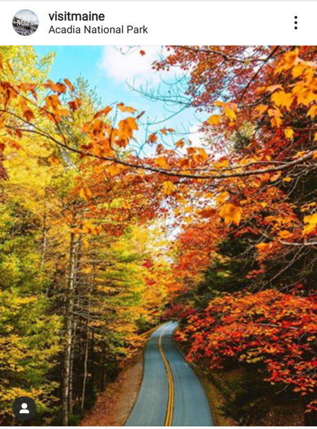 New England itinerario di viaggio 10 giorni on the road da Boston new-england-boston-foliage-quando-itinerario