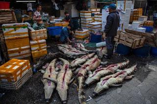 wet market wet market