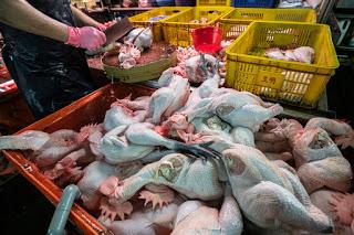 wet market wet market