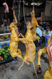 wet market wet market