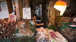 wet market wet market
