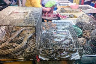 wet market wet market