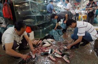 wet market wet market