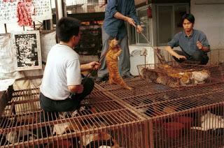 wet market wet market