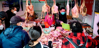 wet market wet market