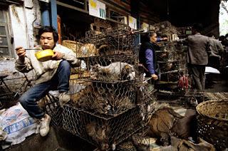 wet market wet market