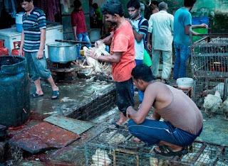 wet market wet market