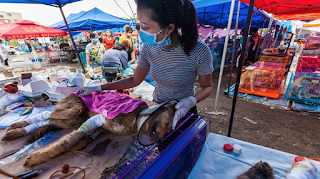 wet market wet market