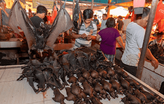 wet market wet market