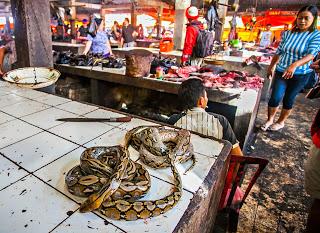 wet market wet market