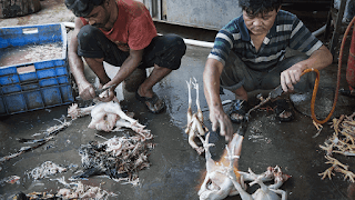 wet market wet market
