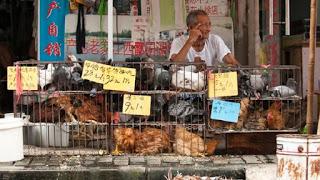 wet market wet market
