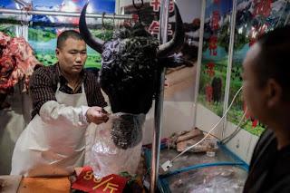 wet market wet market