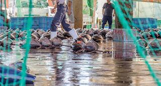 wet market wet market