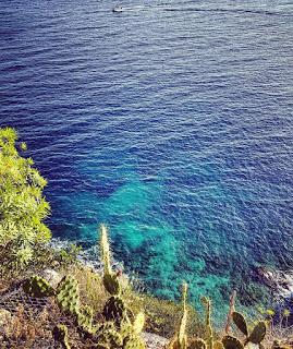 Èze - nidi d'aquila (o forse di cuculi) Èze - nidi d'aquila (o forse di cuculi)