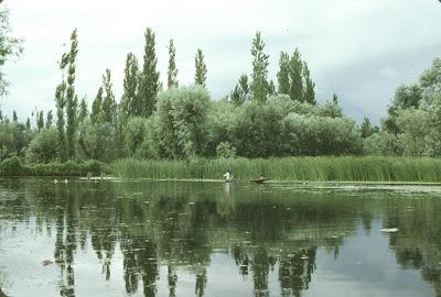 Luoghi del cuore 1: Il lago Dal Luoghi del cuore 1: Il lago Dal