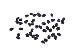 Stimolare la germinazione dei semi Stimolare la germinazione dei semi
