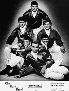 Ohio Express, la band dell'indimenticabile “Yummy Yummy Yummy” Ohio Express, la band dell'indimenticabile “Yummy Yummy Yummy”
