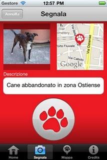 Cani abbandonati?Invia una segnalazione con l'app Io l'ho visto!