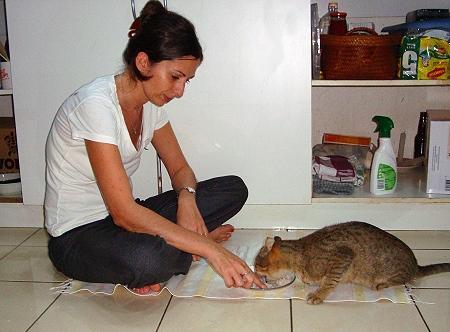 La disperata ricerca di veterinari per le Fiji Anna e Ska