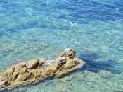 vado Ibiza