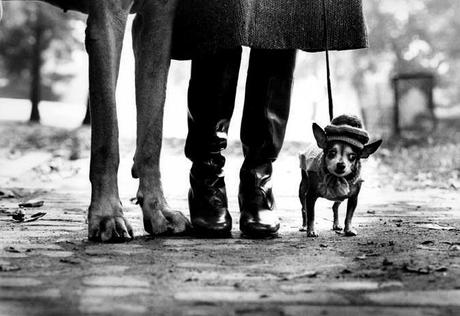 Elliott Erwitt