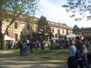 cittadella pic nic pasquetta