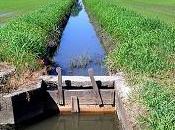 Mini idroelettrico, canali irrigano campi elettricità 250.000 abitazioni