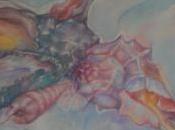 Arte casa cedesi…. sgombero locali..