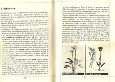 Il mondo verde celtico, le piante dei Druidi, il nuovo ibro di Alfredo Moreschi e Claudio Porchia.