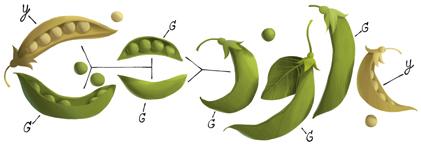 Google doodle Gregor Mendel