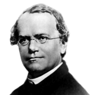 Gregor Mendel (1822-1884)
