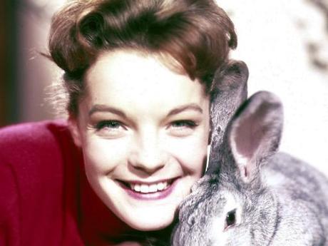 Sissi, or Romy Schneider