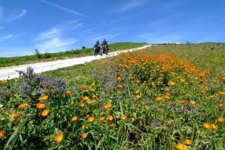 SICILIA primavera in Trinacria