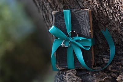 Ispirazioni blu pavone