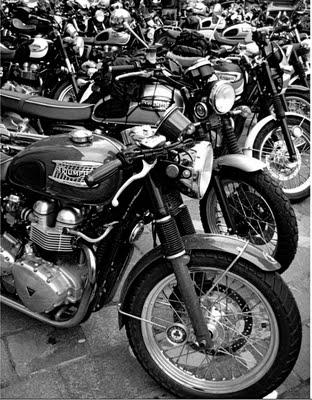 Cafe racer Parma... Altro che prosciutti!