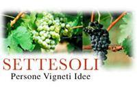 Cantine Settesoli: Assemblea Informativa