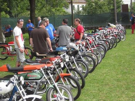 Piccoli Bastardi reunion