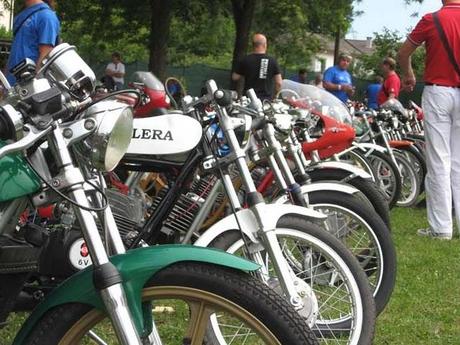 Piccoli Bastardi reunion