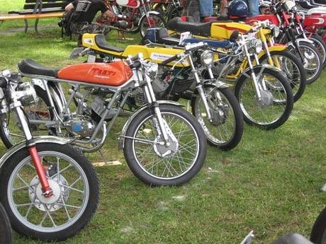 Piccoli Bastardi reunion