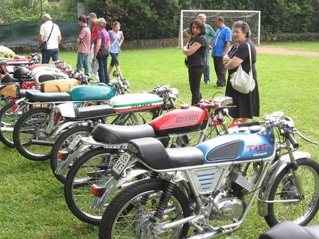 Piccoli Bastardi reunion