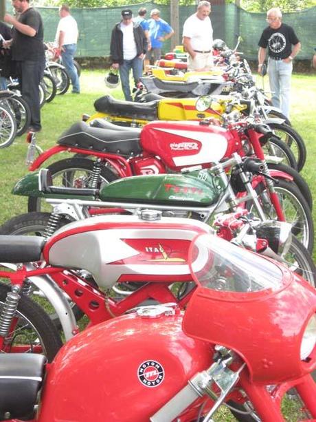 Piccoli Bastardi reunion