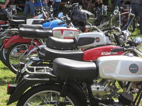 Piccoli Bastardi reunion